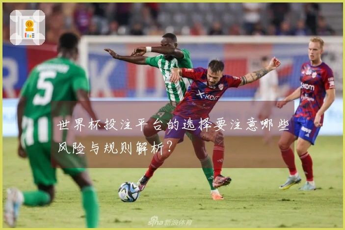 世界杯投注平台的选择要注意哪些风险与规则解析？